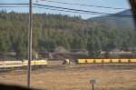 Grand Canyon Railway arriving to Williams